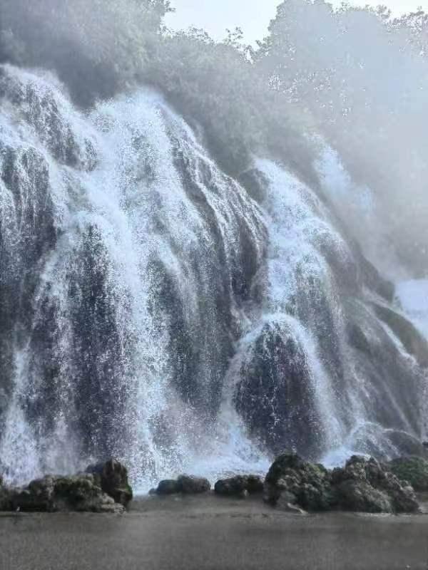 逃离壳牌岛