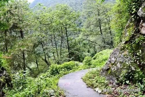 厦门象屿集团拟发行15亿元公司债,期限为3年