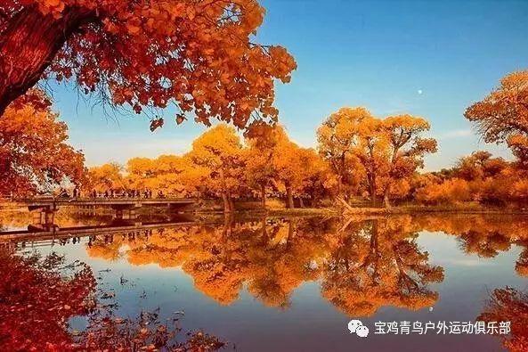 我现在初中毕业可以去哪些学校？游戏画面