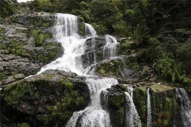 数码宝贝究极对决