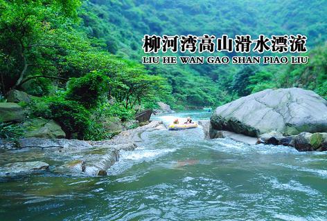 四川e社保认证app下载游戏画面